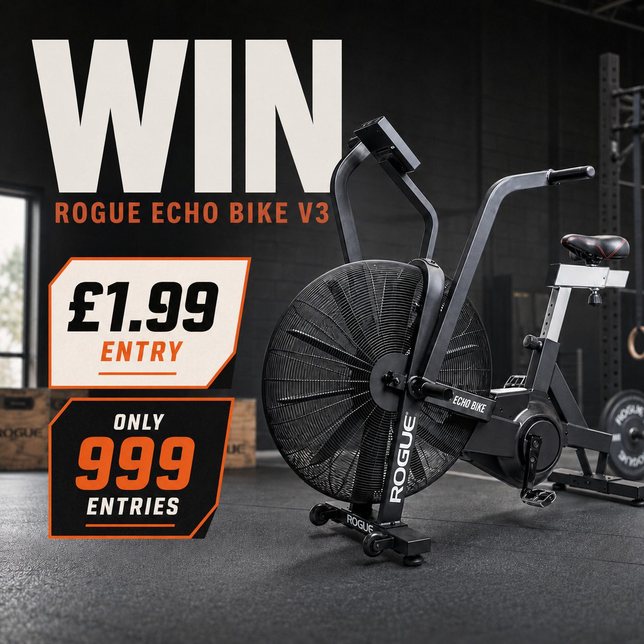Win a Rogue Echo Bike V3